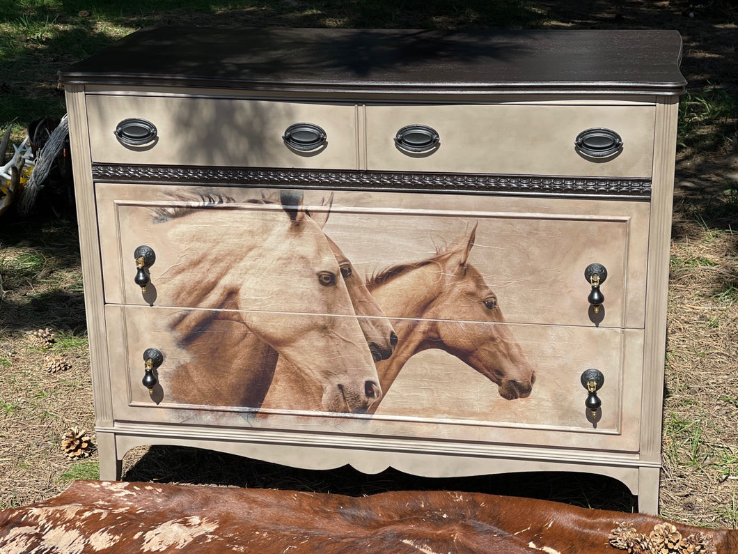 Horses Dresser